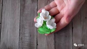 苹果花视频